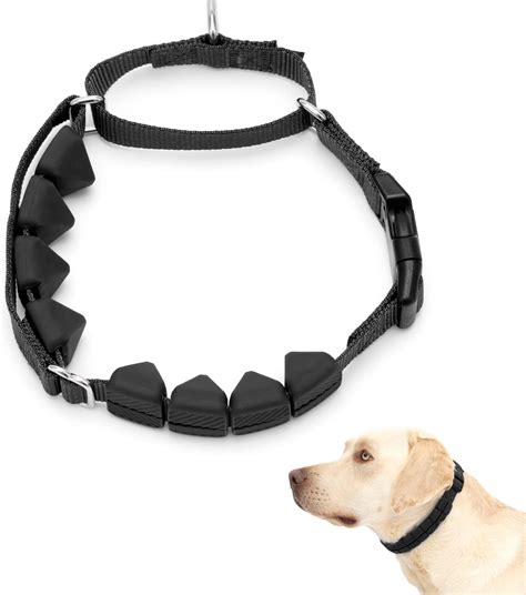 starmark collars for dogs.